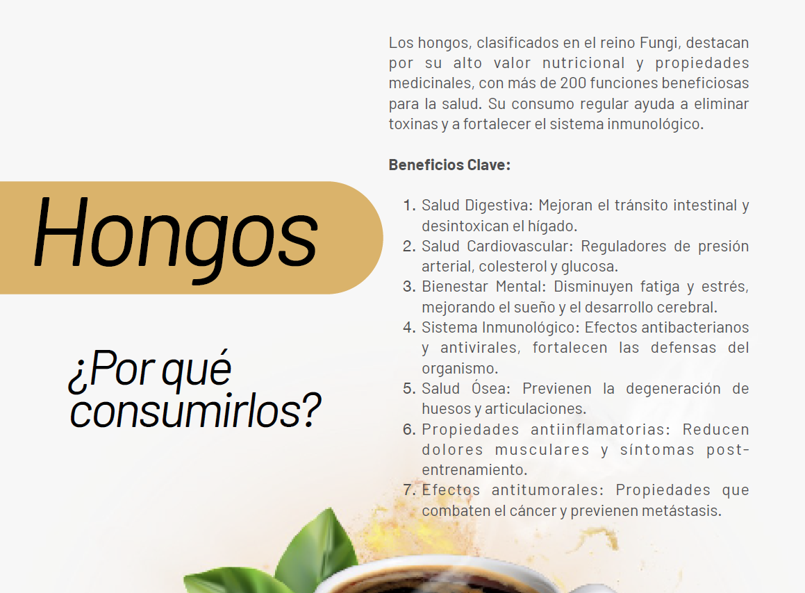 Shampoo Piel & Brillo con Ganoderma