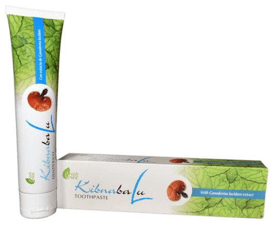 Pasta Dental Fresh Mint Kibnabalu con Ganoderma - Pioir